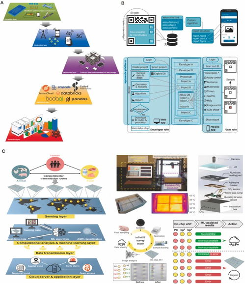 用于微生物病原體即時檢測的材料功能化微流控系統(tǒng)研究進(jìn)展