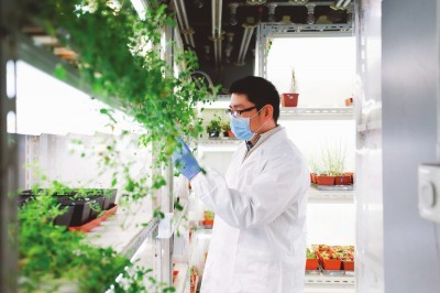 【文匯報(bào)】追尋植物再生的神秘力量--中國(guó)科學(xué)院