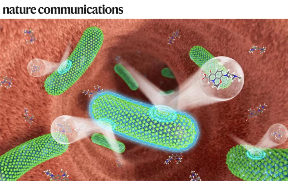 專訪郭俊凌丨川大/哈佛團隊合作開發植物多酚納米材料,可保護益生菌免受抗生素殺傷,相關LBP活體生物藥計劃推進臨床I期