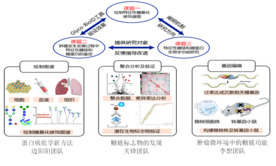 我校5人獲省杰青項目資助、4支團隊入選省重點科技創新團隊
