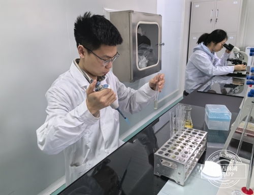 加快發展新質生產力 吉林一線觀察 之新動能 新產業 吉原生物公司 創新升級 水凝膠材料的領跑者