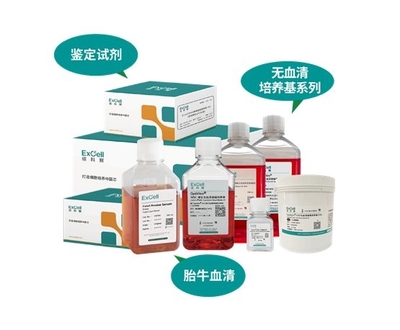 依科賽:聚焦胎牛血清、無血清培養(yǎng)基和鑒定試劑國(guó)產(chǎn)化和國(guó)際化