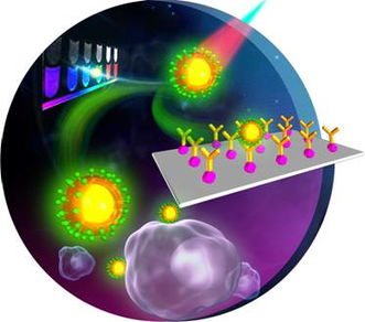 福建物構所稀土上轉(zhuǎn)換熒光生物標記材料研究取得新進展