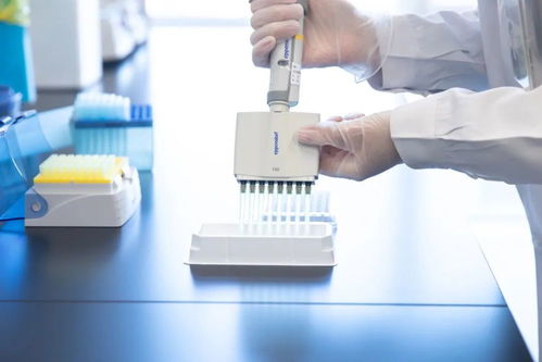 北京協(xié)和醫(yī)院傾力打造疑難罕見病基礎研究與前沿技術創(chuàng)新核心基地——生物基材料技術研發(fā)